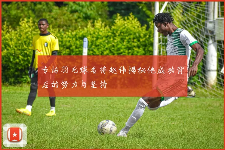 专访羽毛球名将赵伟揭秘他成功背后的努力与坚持