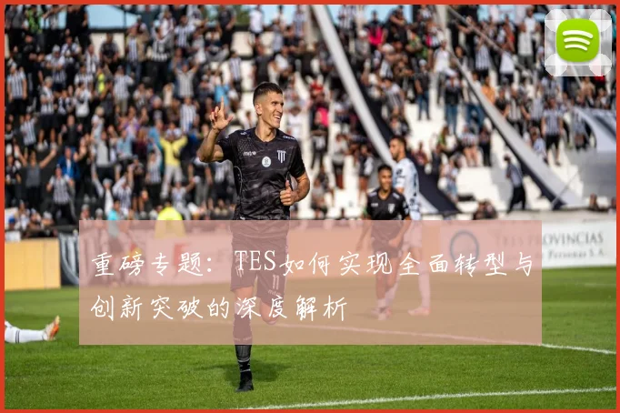 重磅专题：TES如何实现全面转型与创新突破的深度解析