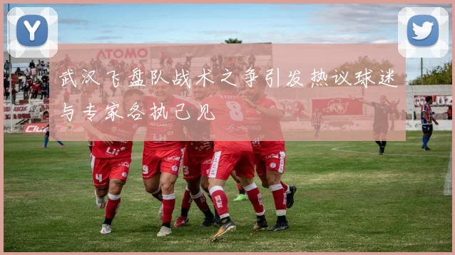 武汉飞盘队战术之争引发热议球迷与专家各执己见